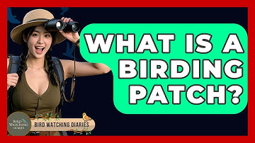 What Is A Birding Patch? - Bird Watching Diaries