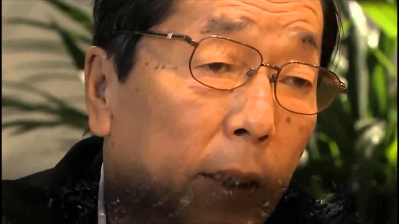 Vitalizer plus asks "what are these people talking about" - part 8