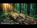 Bamboo Pan Flute Sleep 🌙 Soothing Sounds for Deep Relaxation &amp; Healing