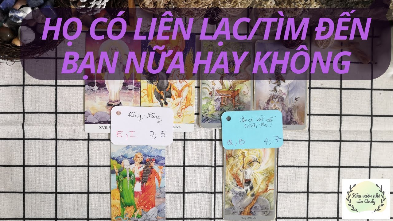 Chọn 1 tụ bài Tarot - Họ có liên lạc hoặc tìm đến bạn nữa hay không - Alo Andy