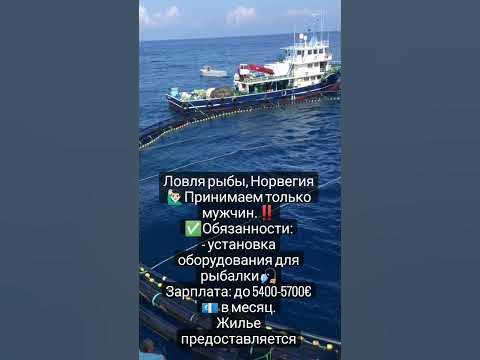 работа в Норвегии рыбалка работа для мужчин - YouTube