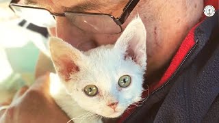 Hij Leerde Nooit Staan Totdat Hij Besefte Dat Liefde Hem Altijd Zou Steunen