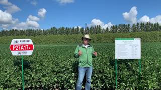 Managing SCN Resistance