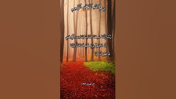 تلاوة تهز القلوب بدعاء المؤمنين آية 193 و 194 من سورة آل عمران بصوت مشاري راشد العفاسي