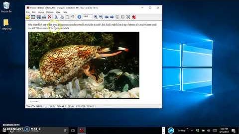Blurring an Image with Irfanview