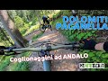 Jump & Fun DOLOMITI PAGANELLA BIKE Andalo 😎 Hustle & Flow - Willy Wonka