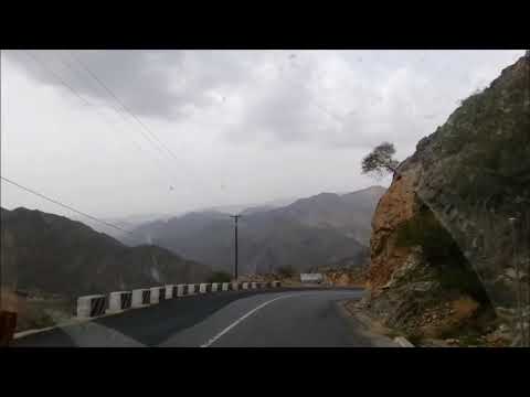 قال ابن الرباحي نعم