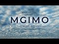 MGIMO in all the world's languages