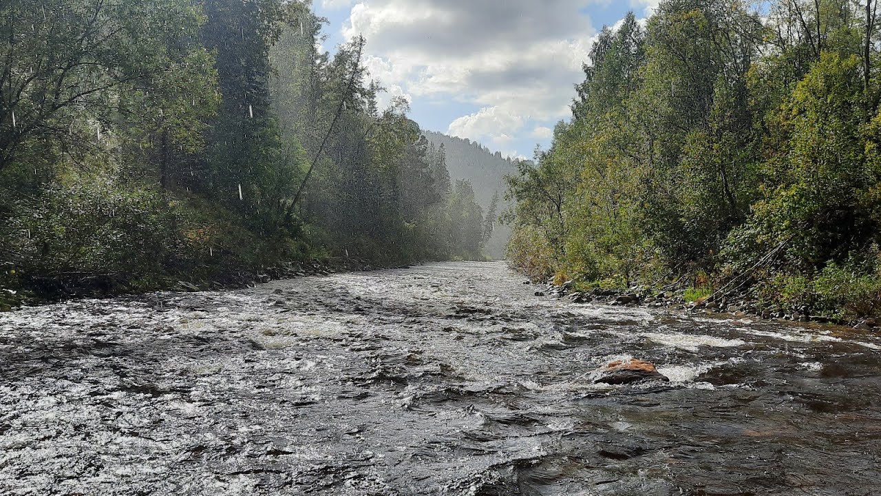 Тайдон река Тайдон река
