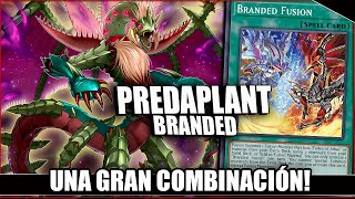 POR FIN SE PUEDE JUGAR UNA GRAN COMBINACIÓN |  PREDAPLANT DECK PROFILE  #YUGIOH #DuelLinks