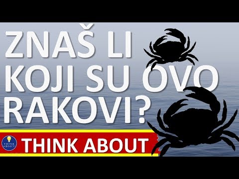 Video: 5 načina kako očistiti mačku kada to ne može učiniti sam