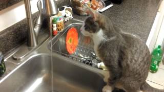 Bubbles vs The Faucet Act 1