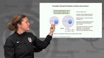 nanoHUB-U Biodesign L2.1: Cellular Architecture - Design Principles of Organelle Size I