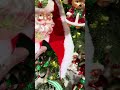 Raz 4" X 10 Yds Festive Holiday Wired Christmas Ribbon R4627838