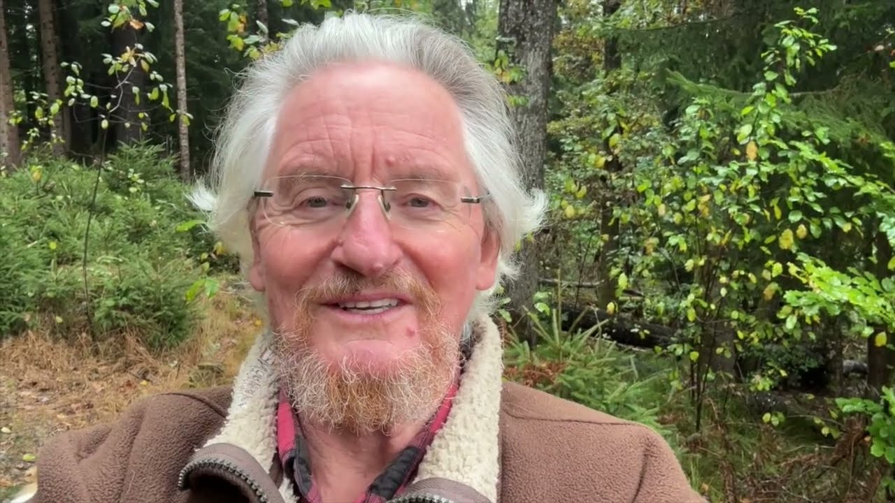 Windkraftindustrie im Schefflenzer Waidachswald durch Vattenfall besiegelt HD