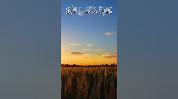 خشوع وتجلى للشيخ محمود الشحات من سورة الضحى