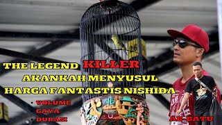 Pleci KILLER Akankah Menyusul Harga Fantastis pleci nishida