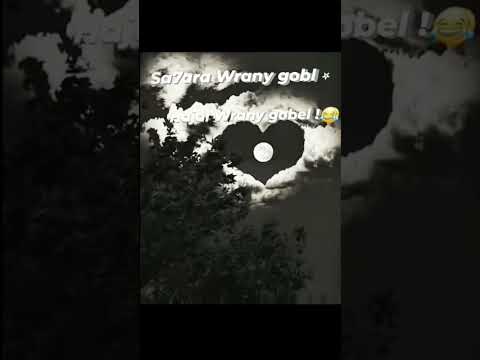 سحاره و راني قابل