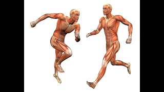VOLUNTARY MOTOR CONTROL I PHYSIO FUNDA I THE PHYSIO VOICE I WHAT WE MUST KNOW