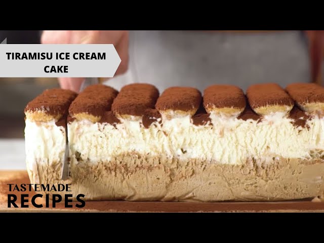 Tiramisu Cake - How to make an Easy Tiramisu in 10 minutes | Fuzz and Buzz
