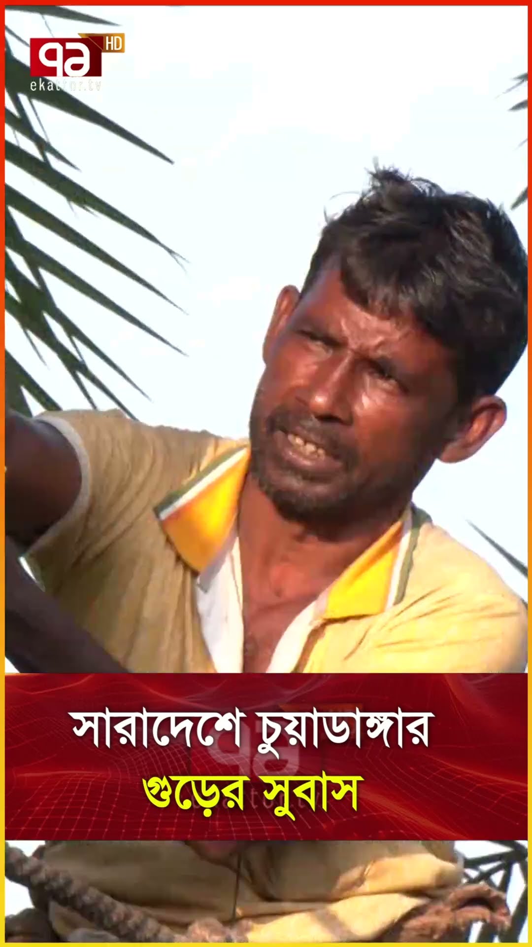 সারাদেশে চুয়াডাঙ্গার গুড়ের সুবাস
