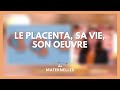 Le placenta, sa vie, son oeuvre - La Maison des maternelles #LMDM