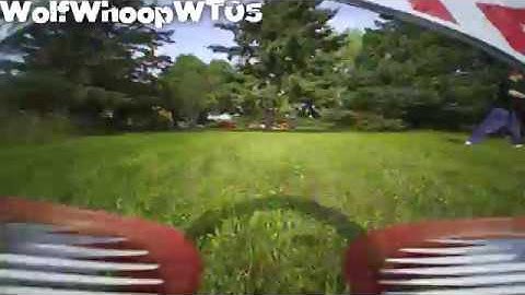 Tiny Whoop Camera Comparison Caddx Firefly Wolfwhoop