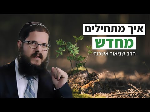 וִידֵאוֹ: איך להתחיל חיים חדשים בלי בעל