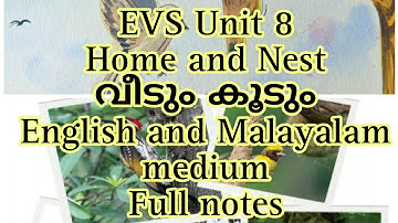 Class 3 EVS Unit 8 Home and Nest English medium notes,വീടും കൂടും Malayalam medium notes