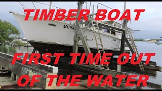 HARTLEY TIMBER CRUISER HAUL OUT MASSIVE ISSUES FOUND!!! day 1