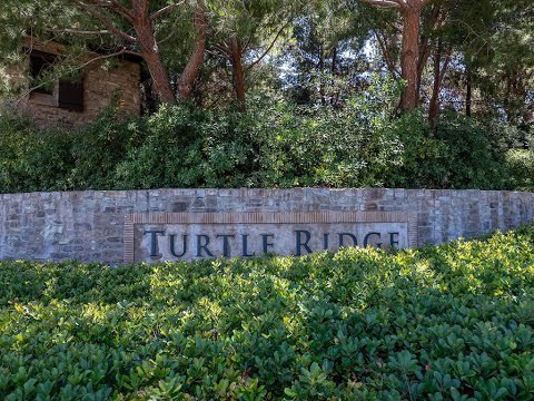51 Arborside, Irvine, CA home video tour