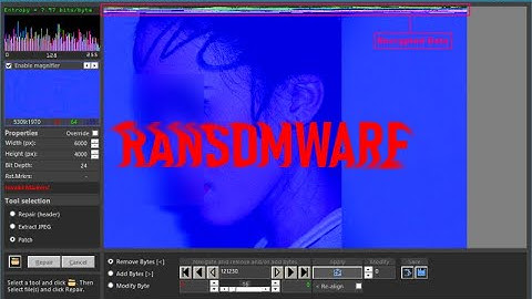 Repair photos (JPEG) affected by ransomware [STOP Djvu] See description for updated video!
