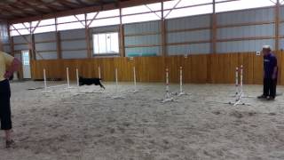 Quinn Jumping Equal Distance Grid