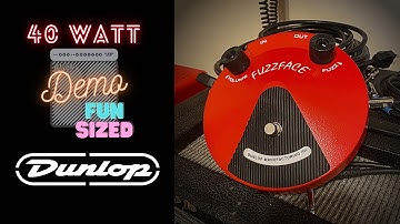 Dunlop JDF2 Classic Fuzz Face - Fun Sized Demo!