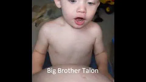Twins Pregnancy