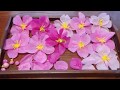 kimie gangiのお花紙で作る「ふわふわのさくら」2019