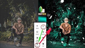 Snapseed preset-Moody blue effect | new photo editing trick