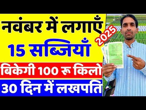 November Me Konsi Sabji Lagaye | November Me Lagai Jane Wali Sabjiyan | November Me Konsi Kheti Kare