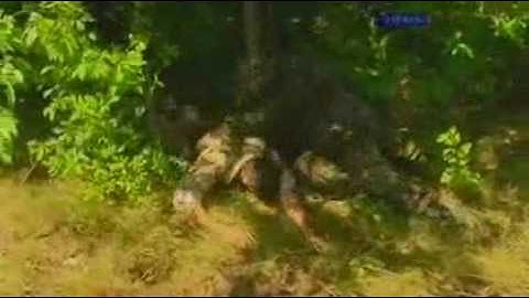 Commando Engineers Cadre 27.07.10