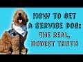 HOW TO GET A SERVICE DOG || The Real, Honest Truth