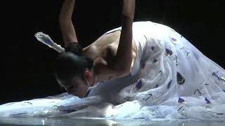 杨丽萍孔雀舞----Yang Liping Peacock Dance