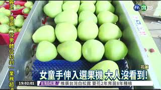 選果機斷指 1歲半娃痛哭