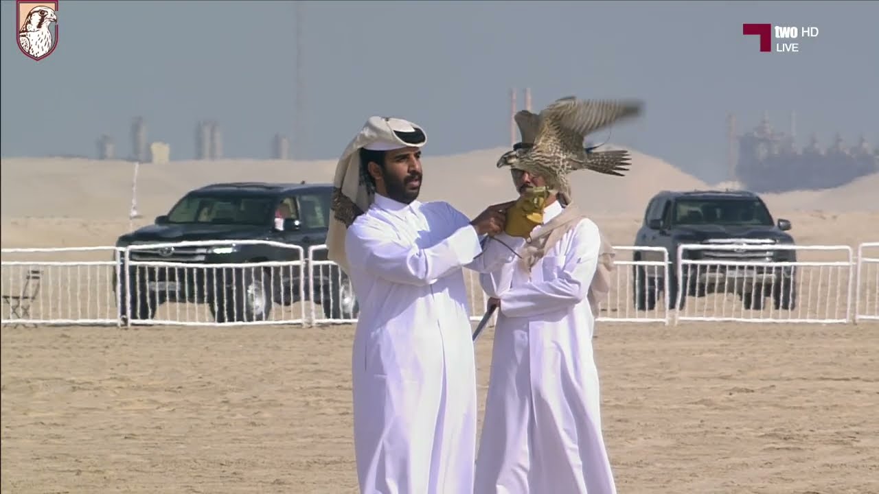 المتأهل 25 في بطولة هدد التحدي - مرمي 2026