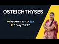 Osteichthyes Made Easy 🐟 | General Characteristics 