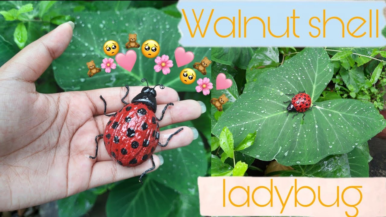 ️Walnut Shell Ladybug || DIY || Best Out Of Waste ️ - YouTube