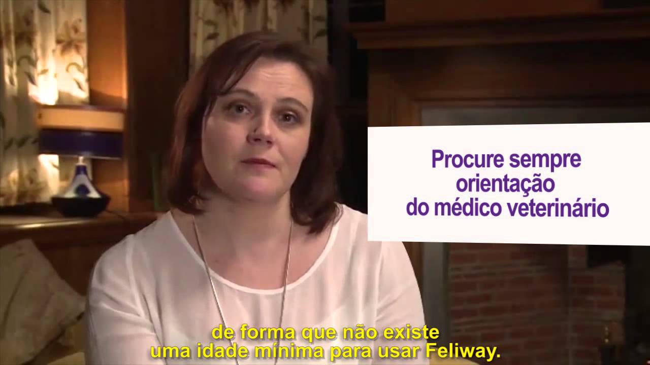 Como introduzir um novo gato ao gato residente - Feliway Brasil