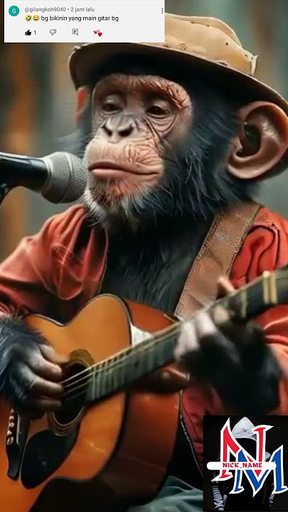 Monyet lucu main gitar klasik #monyet #monkey #shorts #funny #hiburan #videolucu #monyetlucu