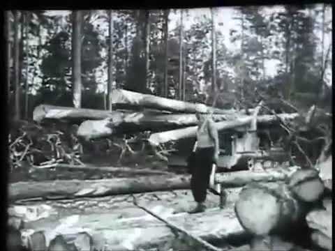 Т-48А. Валочно-трелёвочная машина. 1961 год.