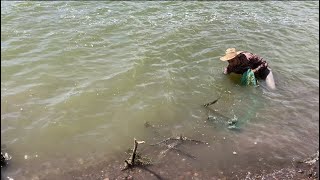 Tarrayando encontra del viento, chulada de pescados