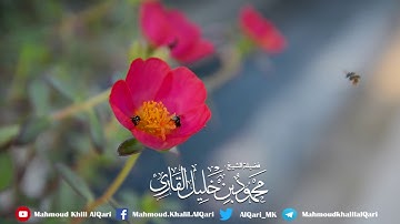 يا أيها الذين آمنو اذكروا الله ذكرا كثيرا | الشيخ محمود خليل القارئ